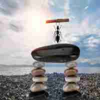 工‍程﻿的‍软​件‌叫​什﻿么‌